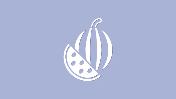 White Watermelon icon isolated on purple background. 4K Video motion graphic animation — Stock Video