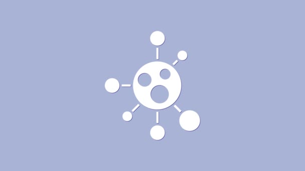 Witte Molecule pictogram geïsoleerd op paarse achtergrond. Structuur van moleculen in de chemie, wetenschap docenten innovatieve educatieve poster. 4K Video motion grafische animatie — Stockvideo