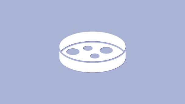 Bílá Petriho miska s ikonou bakterií izolovanou na fialovém pozadí. Grafická animace pohybu videa 4K — Stock video