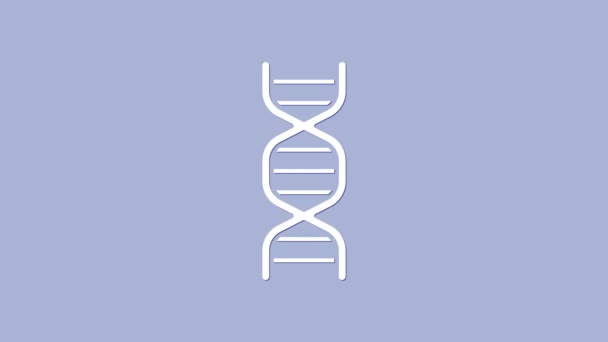 Символ белой ДНК выделен на фиолетовом фоне. Видеографическая анимация 4K — стоковое видео