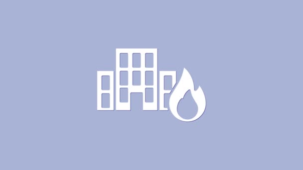 Weißes Feuer in brennenden Gebäuden an der Stadtstraße Ikone isoliert auf violettem Hintergrund. Zerstörte Stadt in Flammen. 4K Video Motion Grafik Animation — Stockvideo