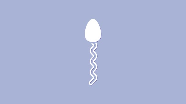 White Sperm icon isolated on purple background. 4K Video motion graphic animation — Stock Video