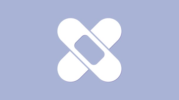 На фиолетовом фоне выделена иконка белой пластыря. Медицинская штукатурка, клеевая повязка, гибкая тканевая повязка. Видеографическая анимация 4K — стоковое видео