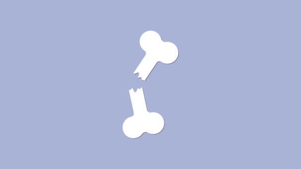 Ícone de osso quebrado humano branco isolado no fundo roxo. Animação gráfica em movimento de vídeo 4K — Vídeo de Stock