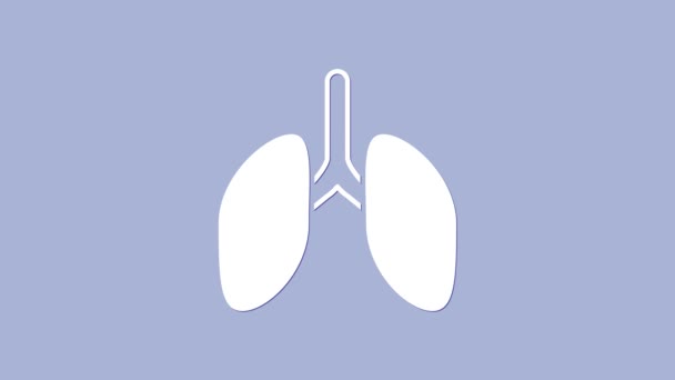 白い肺のアイコンは紫色の背景に隔離されています。4Kビデオモーショングラフィックアニメーション — ストック動画