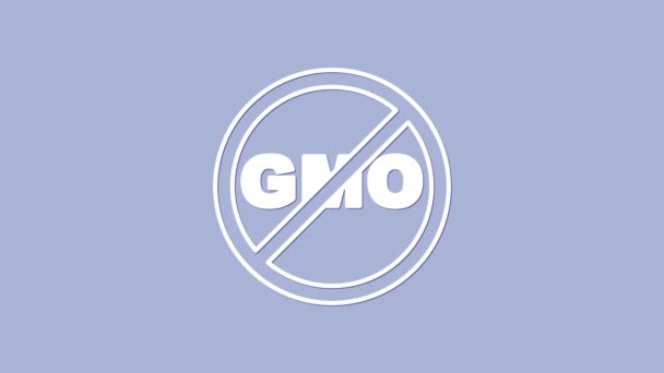 Wit Geen GGO pictogram geïsoleerd op paarse achtergrond. Genetisch gemodificeerd organisme acroniem. Dna voedsel modificatie. 4K Video motion grafische animatie — Stockvideo