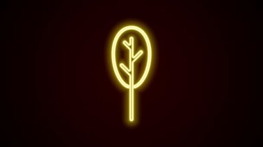 Parlayan neon hattı Ispanak simgesi siyah arkaplanda izole edildi. 4K Video hareketli grafik canlandırması