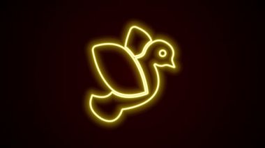 Parlayan neon hattı güvercin simgesi siyah arkaplanda izole edildi. 4K Video hareketli grafik canlandırması