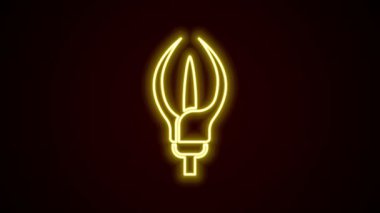 Parlayan neon hattı Lily çiçek ikonu siyah arkaplanda izole edildi. 4K Video hareketli grafik canlandırması