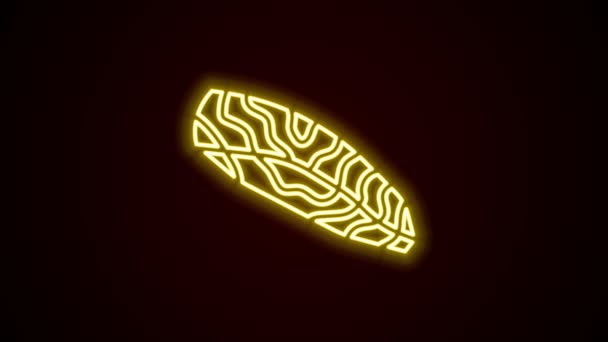 Glödande neon line fisk stek ikon isolerad på svart bakgrund. 4K Video motion grafisk animation — Stockvideo
