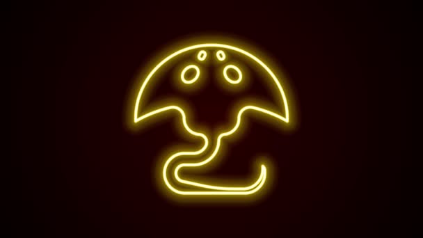 Icono de Stingray de línea de neón brillante aislado sobre fondo negro. Animación gráfica de vídeo 4K — Vídeo de stock
