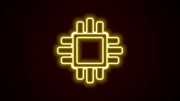 Linea neon incandescente Processore di computer con microcircuiti icona CPU isolata su sfondo nero. Chip o cpu con circuito stampato. Microprocessore. Animazione grafica 4K Video motion — Video Stock