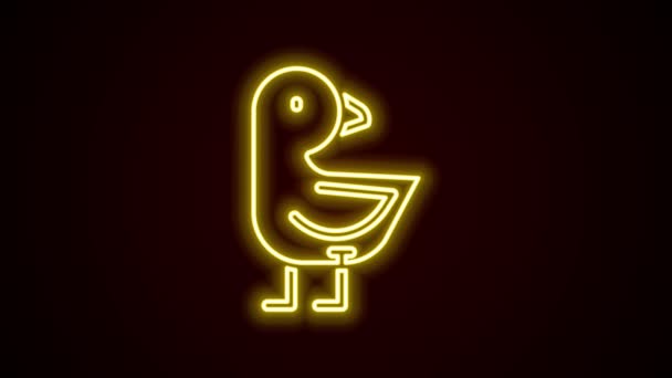 Светящаяся неоновая линия Маленькая иконка цыпленка выделена на черном фоне. Видеографическая анимация 4K — стоковое видео