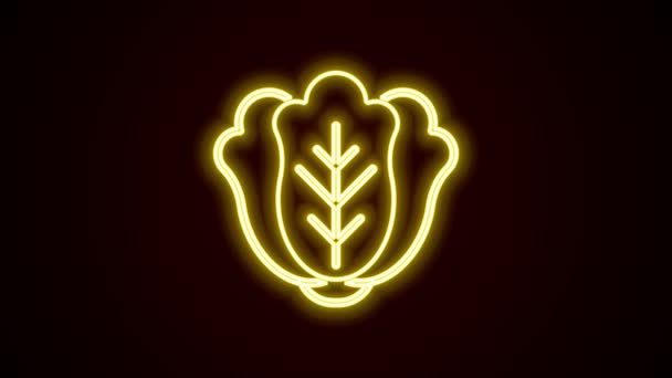 Светящийся неоновая линия Свежая капуста овощной значок изолирован на черном фоне. Видеографическая анимация 4K — стоковое видео