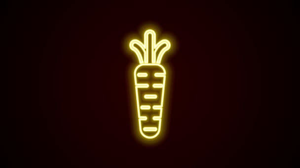 Glowing neon line Carrot icon isolated on black background. 4K Video motion graphic animation — Stock Video