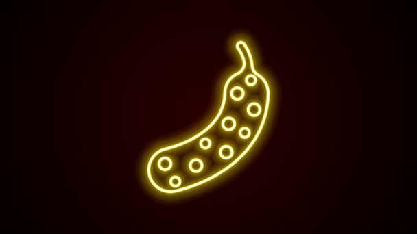 Glowing neon line Fresh cucumber icon isolated on black background. 4K Video motion graphic animation — Stock Video