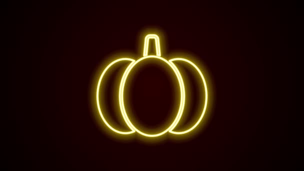 Icono de calabaza de línea de neón brillante aislado sobre fondo negro. Feliz fiesta de Halloween. Animación gráfica de vídeo 4K — Vídeos de Stock