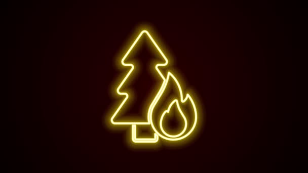 Brillante línea de neón Árboles forestales ardientes en llamas de fuego icono aislado sobre fondo negro. Concepto de desastre natural. Animación gráfica de vídeo 4K — Vídeo de stock
