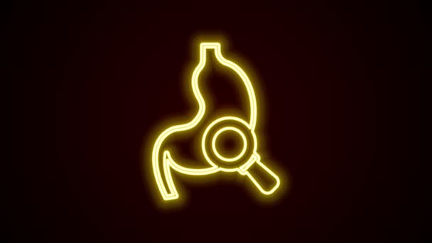 Gloeiende neon lijn Menselijke maag met vergrootglas pictogram geïsoleerd op zwarte achtergrond. 4K Video motion grafische animatie — Stockvideo