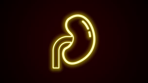 Línea de neón brillante Icono de riñón humano aislado sobre fondo negro. Animación gráfica de vídeo 4K — Vídeo de stock