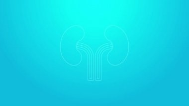 Pembe çizgili insan böbreği ikonu mavi arka planda izole edilmiş. 4K Video hareketli grafik canlandırması