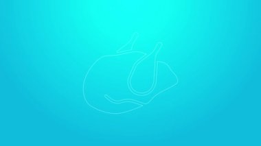 Pembe çizgi, kızarmış hindi ya da mavi arka planda izole edilmiş tavuk ikonu. 4K Video hareketli grafik canlandırması