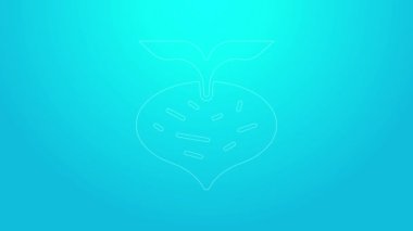 Pembe çizgi taze pancar ve mavi arka planda yaprak simgesi var. Doğal Kök. Yiyecek için sebze karışımı. 4K Video hareketli grafik canlandırması