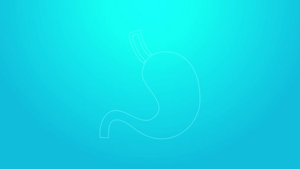 Pink line Human stomach icon isolated on blue background. 4K Video motion graphic animation — Stock Video