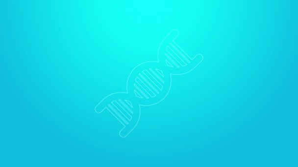 Pink line DNA symbol icon isolated on blue background. 4K Video motion graphic animation — Stock Video