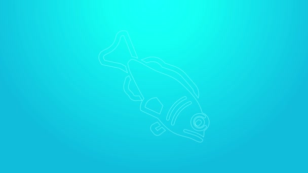 Ligne rose Icône de poisson isolé sur fond bleu. Animation graphique de mouvement vidéo 4K — Video