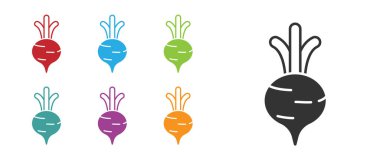 Beyaz zemin üzerinde yaprak simgesi olan siyah taze pancar. Doğal Kök. Yiyecek için sebze karışımı. Simgeleri renklendirin. Vektör