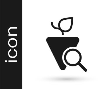 Beyaz arkaplanda siyah üzüm simgesi izole edildi. Üzüm seçimi. Vektör