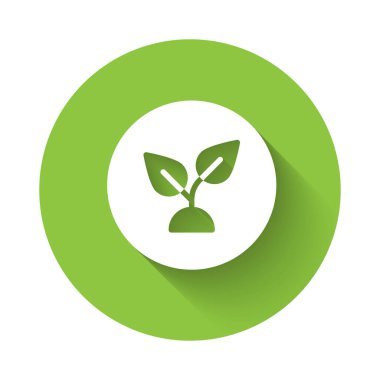 Beyaz Bitki tabanlı ikon uzun gölge arkaplan izole. Yeşil daire düğmesi. Vektör