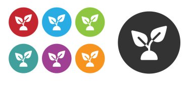 Black Plant based icon isolated on white background. Set icons colorful. Vector