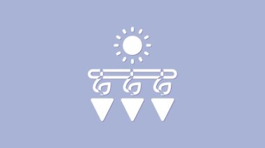 Beyaz kuru üzüm ikonu mor arka planda izole edilmiş. Kurutulmuş üzüm. 4K Video hareketli grafik canlandırması