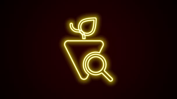 Gloeiende neon lijn Druiven pictogram geïsoleerd op zwarte achtergrond. Selectie van druiven. 4K Video motion grafische animatie — Stockvideo