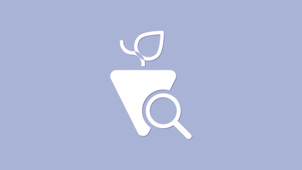 Fehér szőlő ikon elszigetelt lila háttér. Szőlő válogatás. 4K Videó mozgás grafikus animáció — Stock videók