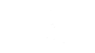 Siyah çizgi şampanya şişesi ikonu beyaz arka planda izole edilmiş. 4K Video hareketli grafik canlandırması