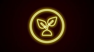 Parlayan neon hattı Bitki tabanlı simge siyah arkaplanda izole edildi. 4K Video hareketli grafik canlandırması