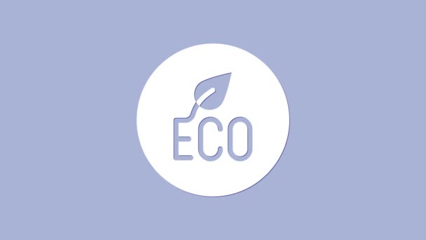 White Leaf Eco symbool pictogram geïsoleerd op paarse achtergrond. Banner, label, tag, logo, sticker voor eco groen. 4K Video motion grafische animatie — Stockvideo