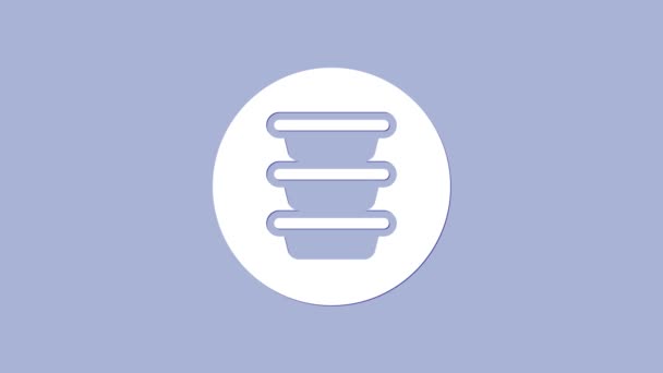 Icona ciotola bianca isolata su sfondo viola. Animazione grafica 4K Video motion — Video Stock