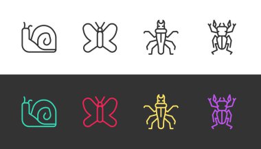 Çizgi Salyangoz, Kelebek, Termit ve Böcek geyiği siyah ve beyaz. Vektör