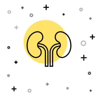 Siyah çizgi insan böbrekleri beyaz arka planda izole edilmiş. Rastgele dinamik şekiller. Vektör