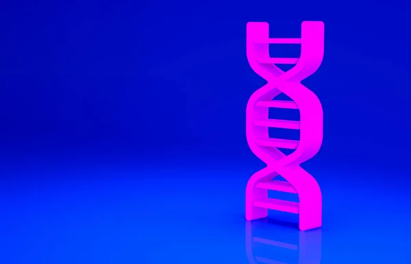 Ροζ εικονίδιο DNA σύμβολο απομονώνονται σε μπλε φόντο. Μινιμαλιστική έννοια. 3D απεικόνιση 3d καθιστούν — Φωτογραφία Αρχείου