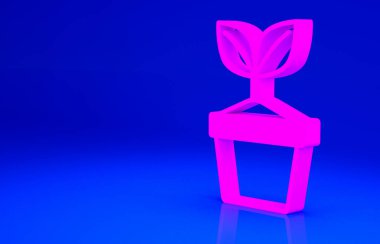 Mavi arka planda izole edilmiş, çömlek simgesindeki pembe bitki. Tencerede yetişen bir bitki. Saksı bitkisi işareti. Minimalizm kavramı. 3d illüstrasyon 3B canlandırma