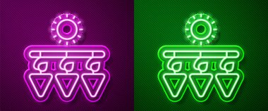 Parlayan neon hattı mor ve yeşil arka planda izole edilmiş kuru üzüm ikonu. Kurutulmuş üzüm. Vektör