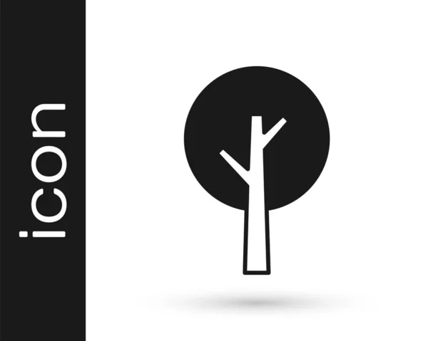 Icono de Árbol Negro aislado sobre fondo blanco. Símbolo forestal. Vector — Vector de stock