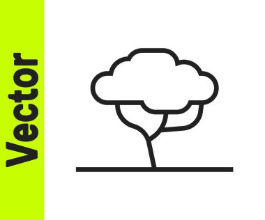 Beyaz arka planda siyah çizgi Afrika ağaç simgesi izole edildi. Baobab, akasya ve diğerleri. Vektör