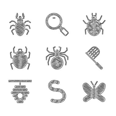 Örümcek, Solucan, Kelebek, Ağ, Arılar için Kovan, Mite ve Böcek geyiği ikonu oluşturun. Vektör