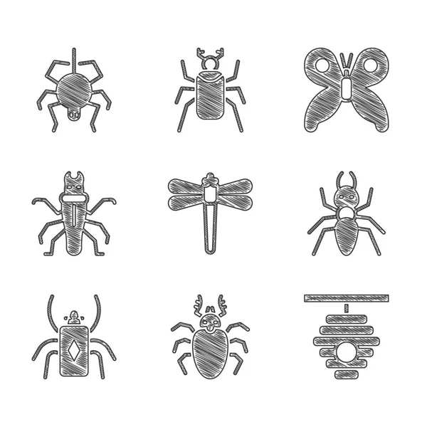 Set Dragonfly, cervos besouro, colmeia para abelhas, formiga, bug, térmita, borboleta e ícone de aranha. Vetor — Vetor de Stock